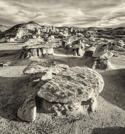 Otherworldly landscape, Bisti Badlands, New Mexico