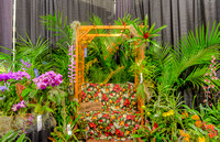 2013 Orchid Show, Rochester, NY
